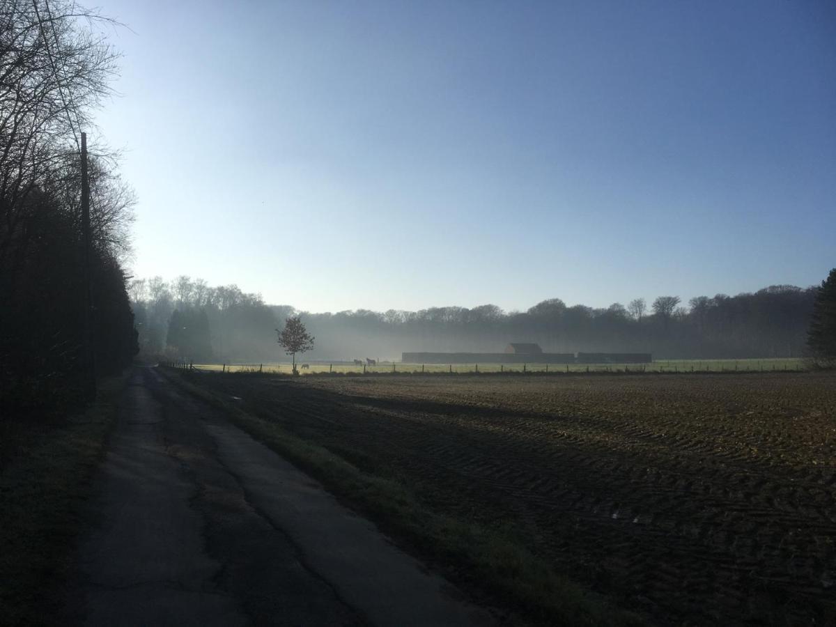 B&B Miranoza Oud-Heverlee Kültér fotó