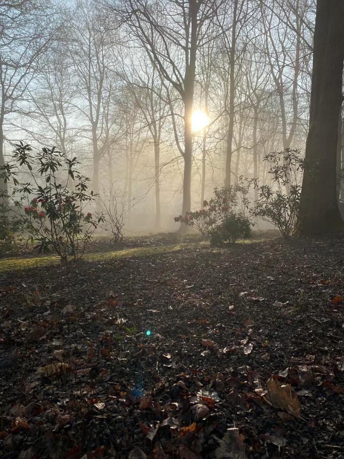 B&B Miranoza Oud-Heverlee Kültér fotó